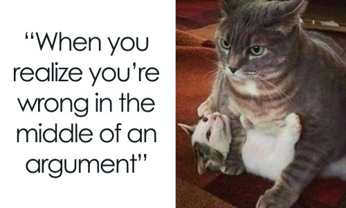 舟山腌冬瓜做法大全-舟山冬瓜的功效与禁忌网- 冬瓜的功效作用与主治及禁忌知识,分享冬瓜核的功效与作用及禁忌